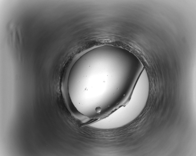 X0000096420512200801311415