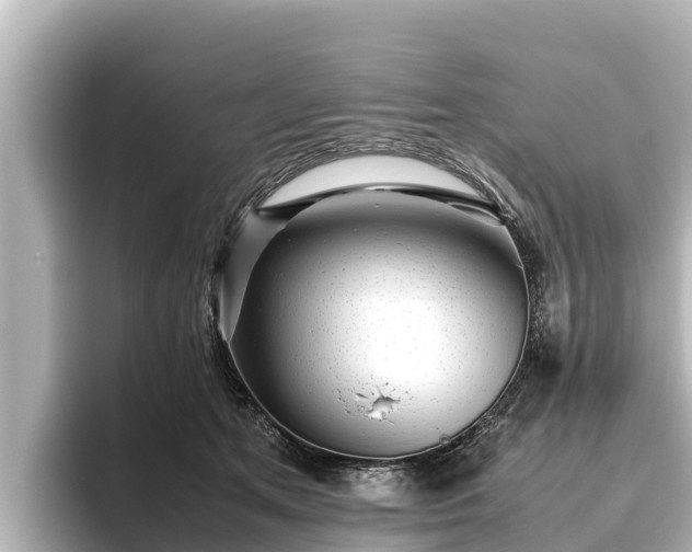 X0000096420513200801311415