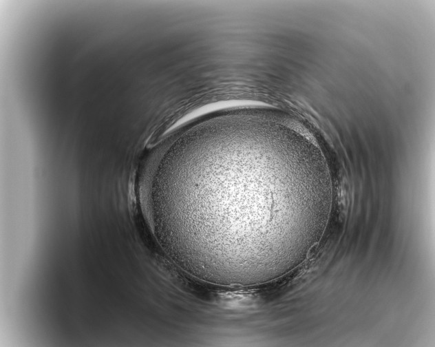 X0000096420516200801311415