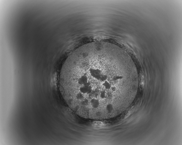 X0000096420519200801311415