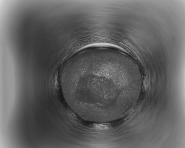 X0000096420520200801311415