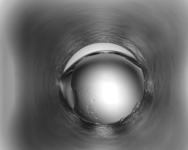 X0000096420521200801311415