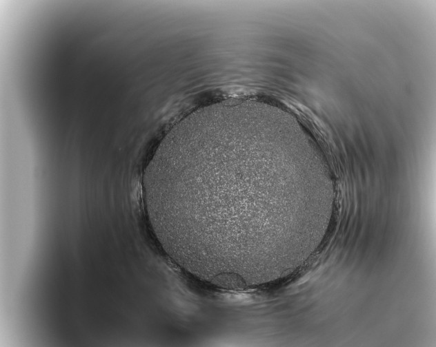 X0000096420523200801311415