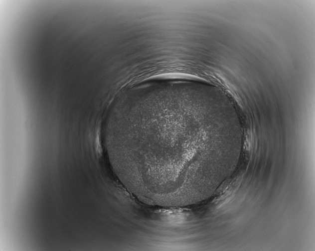 X0000096420524200801311415