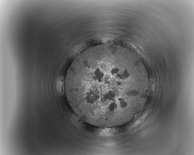 X0000096420527200801311415
