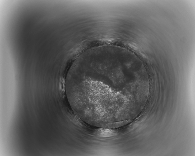 X0000096420528200801311415