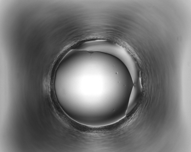 X0000096420530200801311414
