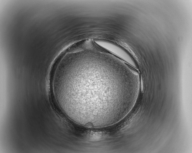 X0000096420531200801311414