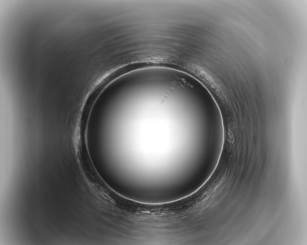 X0000096420532200801311414