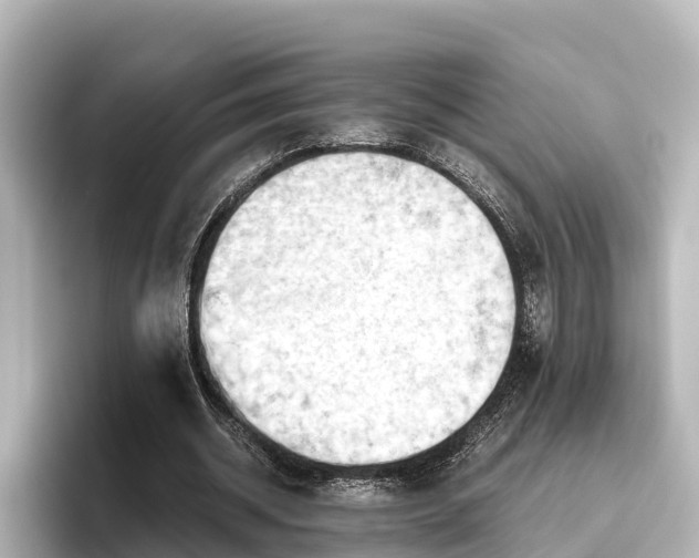X0000096420534200801311414