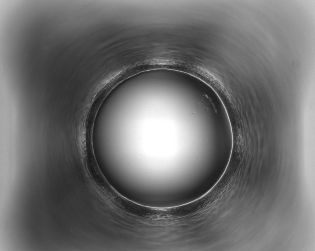 X0000096420535200801311414