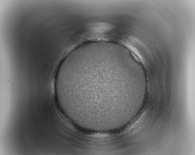 X0000096420537200801311414