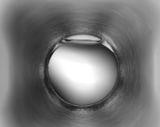 X0000096420538200801311414