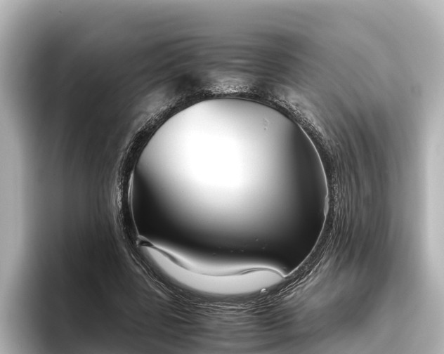 X0000096420539200801311414