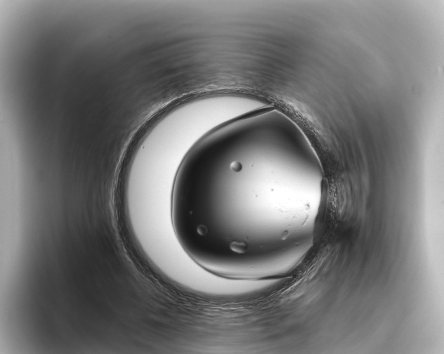 X0000096420540200801311414