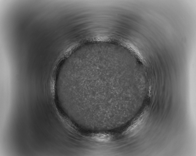 X0000096420542200801311414