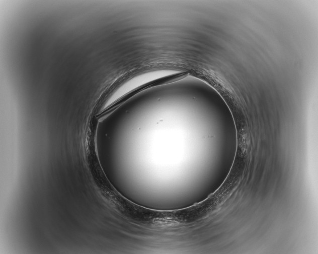 X0000096420544200801311414