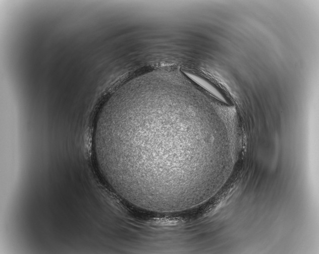 X0000096420545200801311414