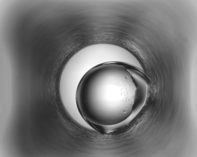 X0000096420546200801311414