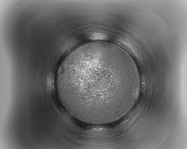 X0000096420547200801311414
