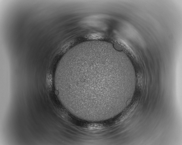 X0000096420549200801311414