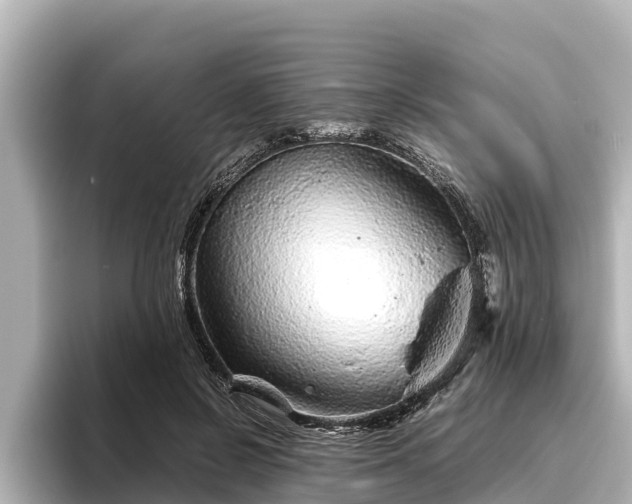 X0000096420550200801311414