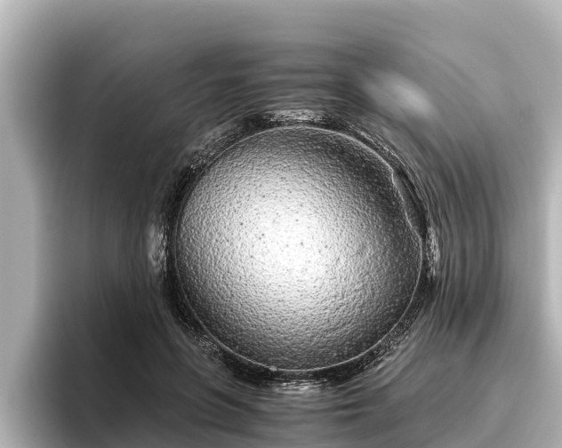 X0000096420551200801311414