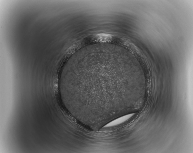 X0000096420553200801311414