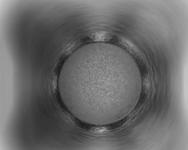 X0000096420554200801311414