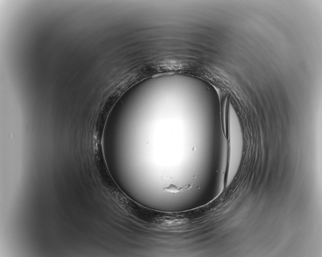 X0000096420555200801311414