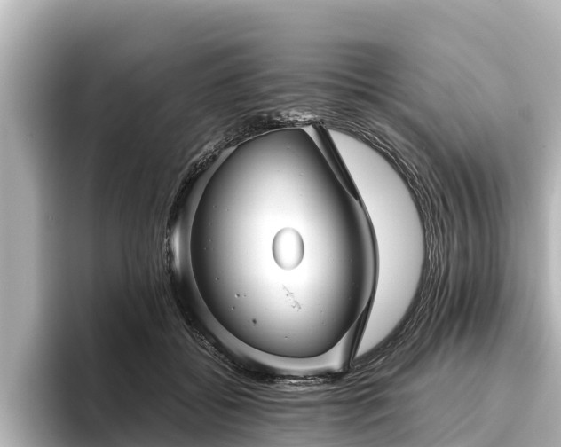 X0000096420556200801311414