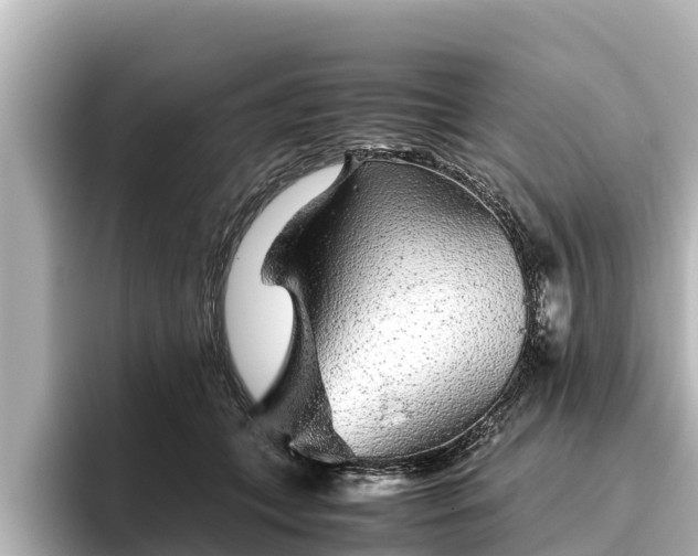 X0000096420559200801311414