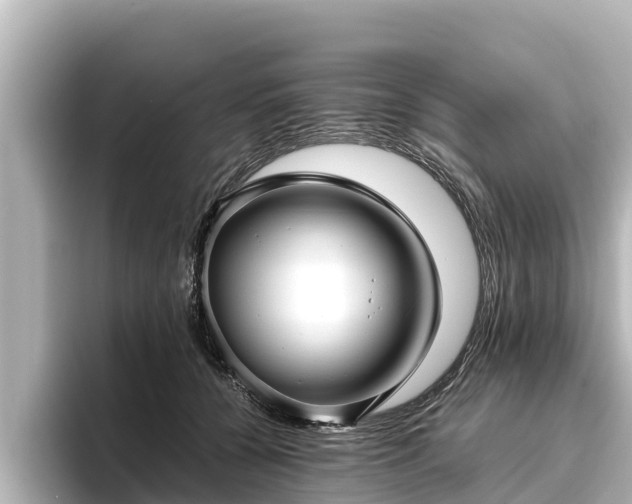 X0000096420560200801311414