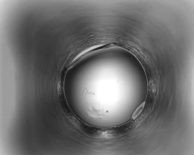 X0000096420564200801311414