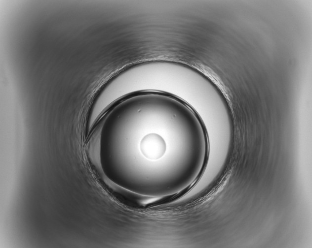 X0000096420577200801311414