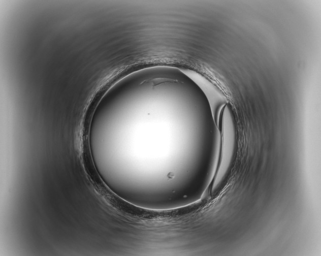 X0000096420578200801311414