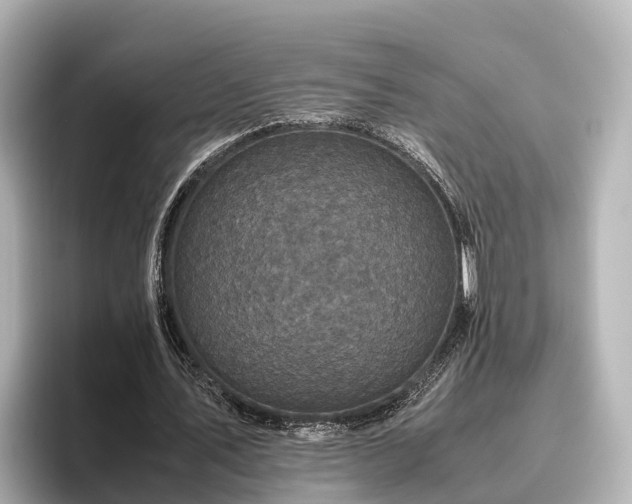 X0000096420579200801311414