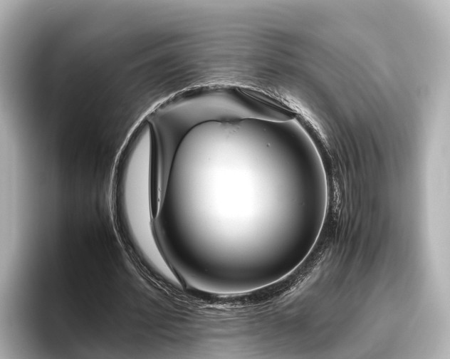 X0000096420580200801311414