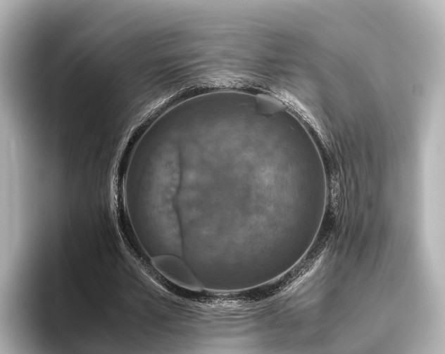 X0000096420581200801311414