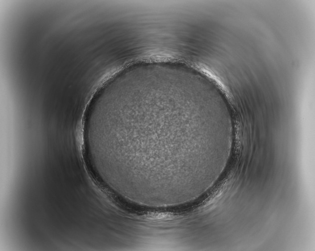 X0000096420582200801311414