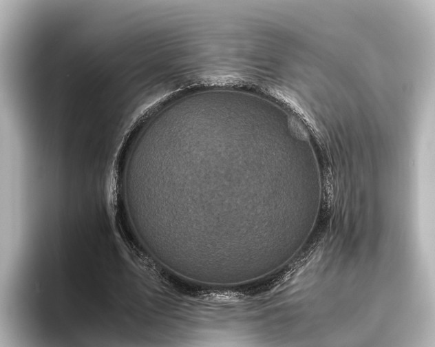 X0000096420583200801311414