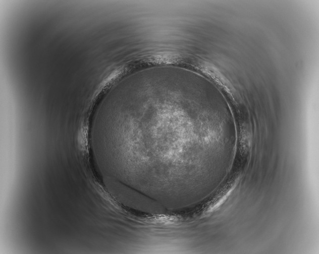 X0000096420585200801311414