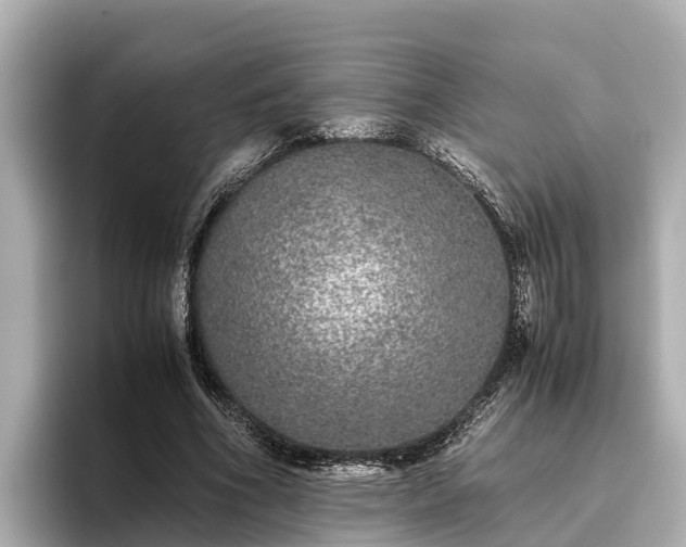 X0000096420586200801311414