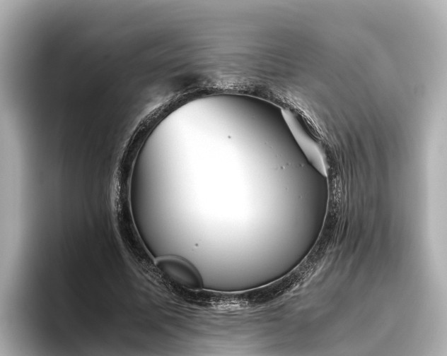 X0000096420587200801311414