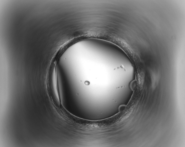 X0000096420588200801311414