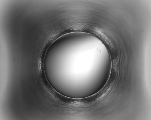 X0000096420589200801311414