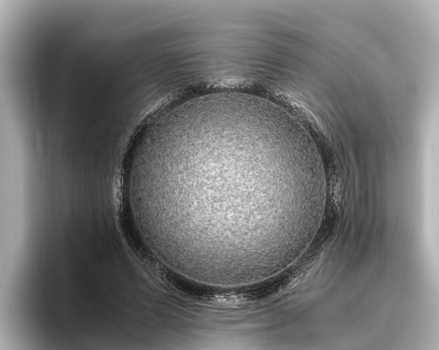 X0000096420591200801311414