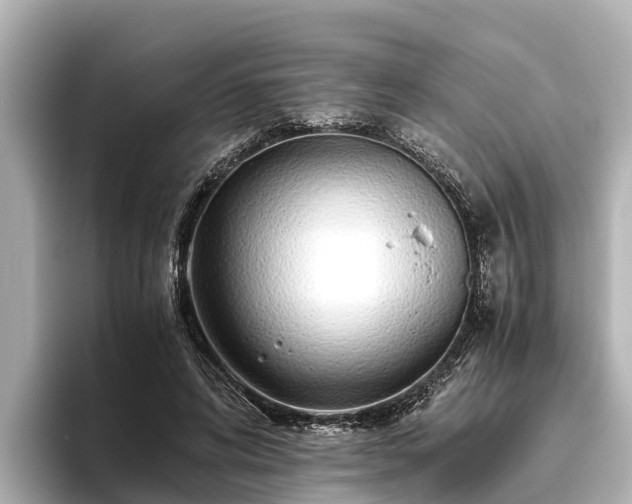 X0000096420592200801311414