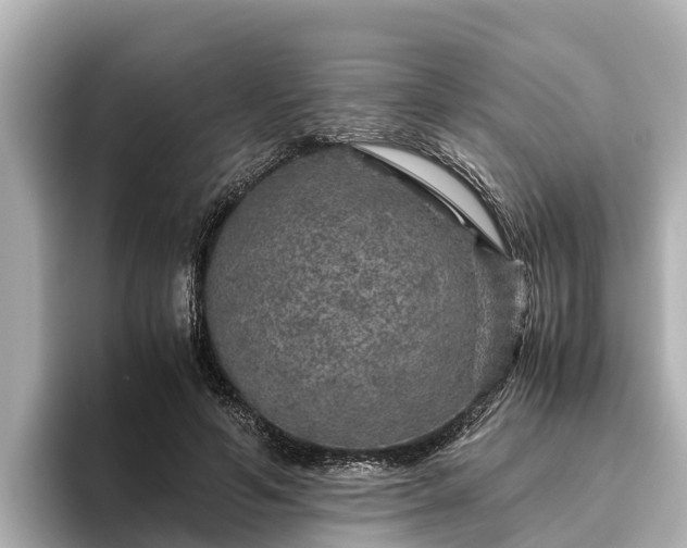 X0000096420594200801311414