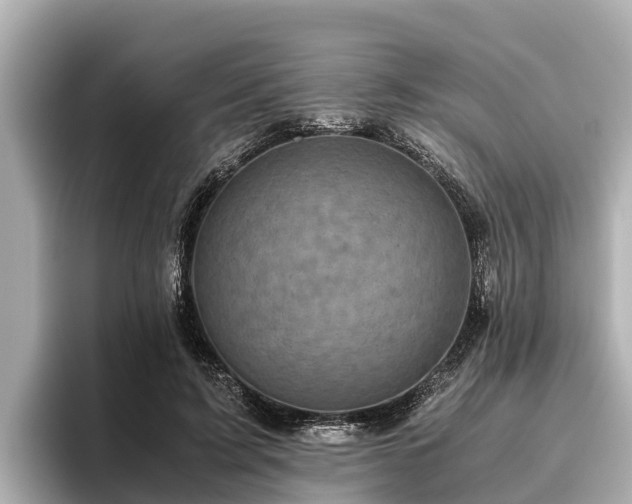 X0000096420595200801311414